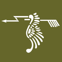 121º Esquadrão de Caça 